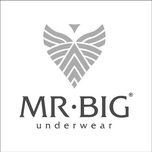 mrbig.jpg